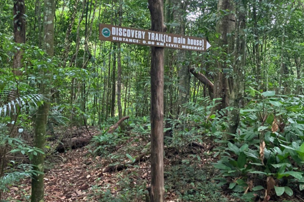 Exploring the Wonders of Eco-Tourism